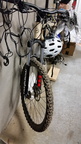 Random Photos